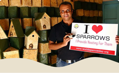 I Love Sparrows program