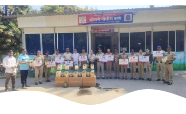 World Sparrow Day 2015